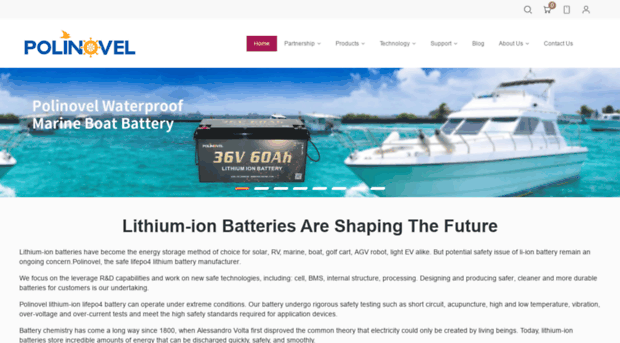 bestlifepo4battery.com