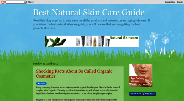 bestnaturalskincareguide.blogspot.it