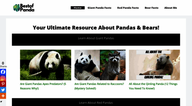 bestofpanda.com