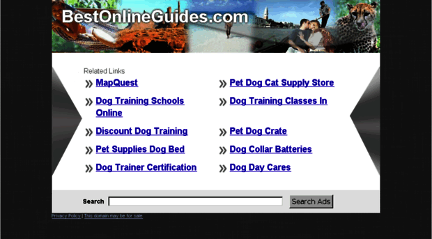 bestonlineguides.com