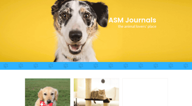 bestpetreviews.com