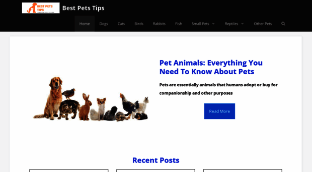 bestpetstips.com