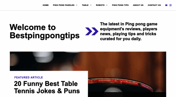 bestpingpongtips.com