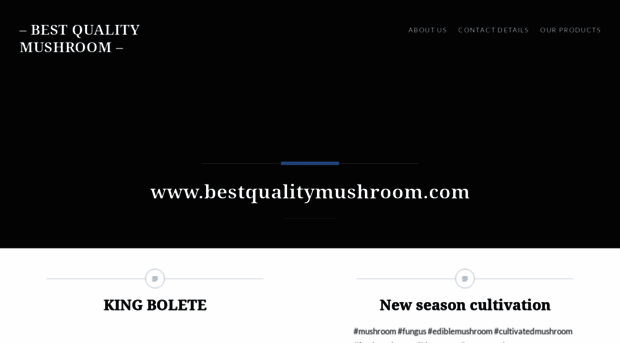 bestqualitymushroom.wordpress.com