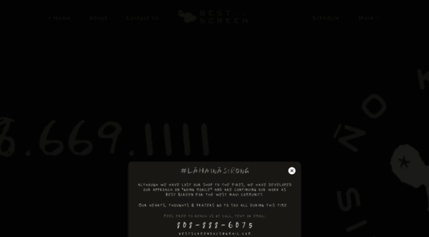 bestscreenmaui.com