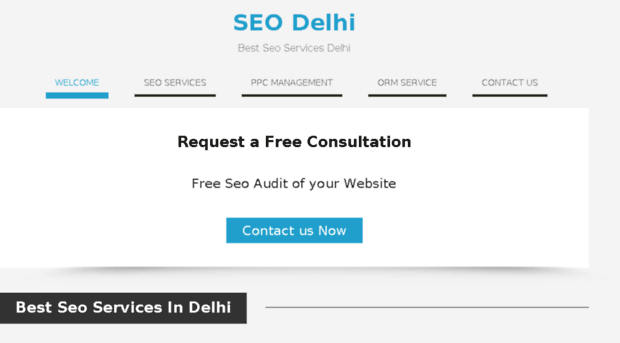 bestseoservicesdelhi.co.in