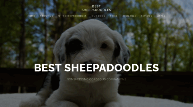 bestsheepadoodles.com
