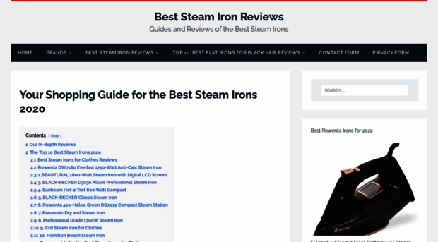 beststeamironreviews.com