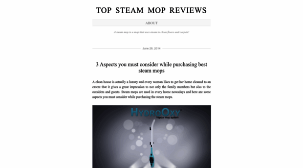 beststeammopblog.wordpress.com