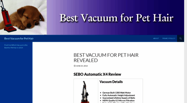 bestvacforpethair.wordpress.com