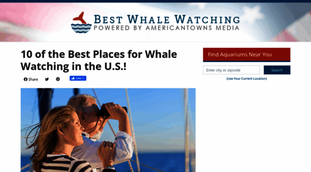 bestwhalewatching.info