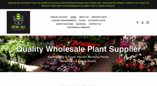 bestwholesaleplants.co.uk