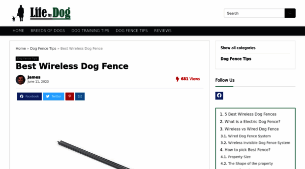 bestwirelessdogfencesystem.com