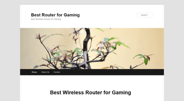 bestwirelessrouterforgaming.com