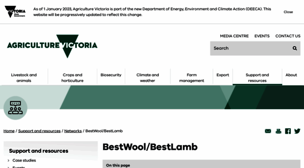 bestwool.com