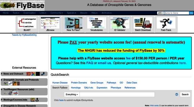 beta.flybase.org