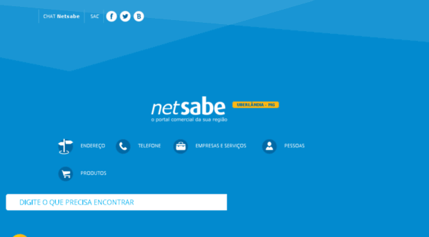 beta.netsabe.com.br