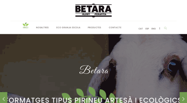 betara.cat