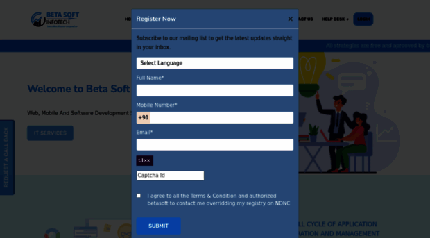 betasoftinfotech.com