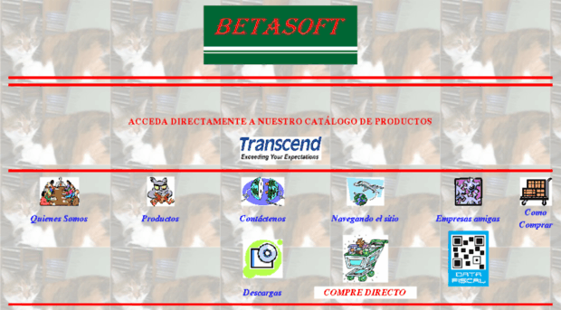 betasoftsrl.com