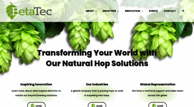 betatec.com