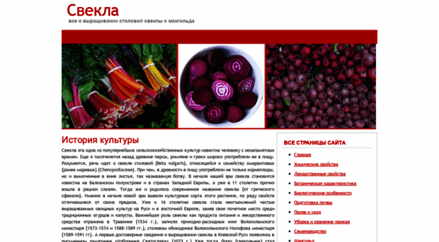 betavulgaris.ru