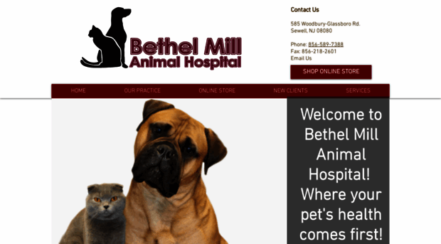 bethelmillanimalhospital.com