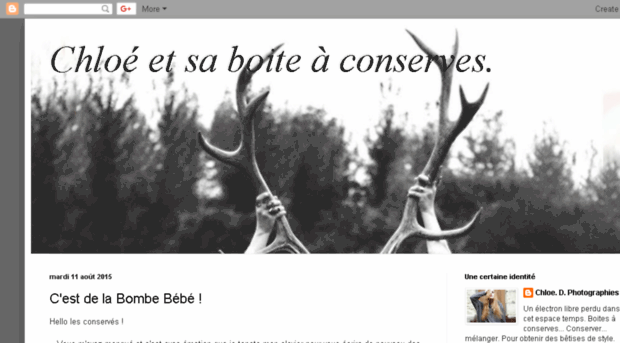 betises-de-style.blogspot.com