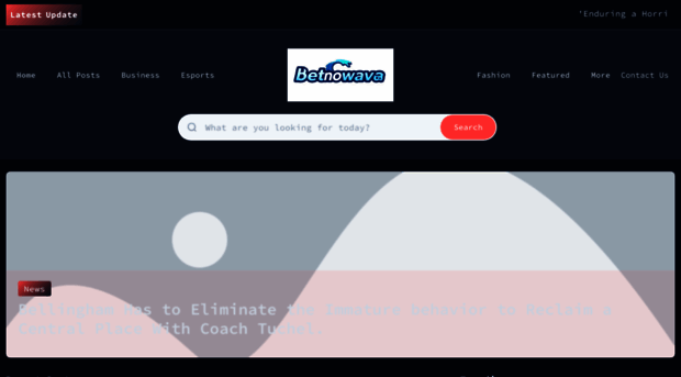 betnovawave.us
