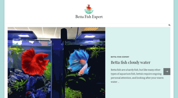 betta-fish-expert.com