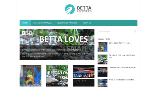 bettaanswers.com