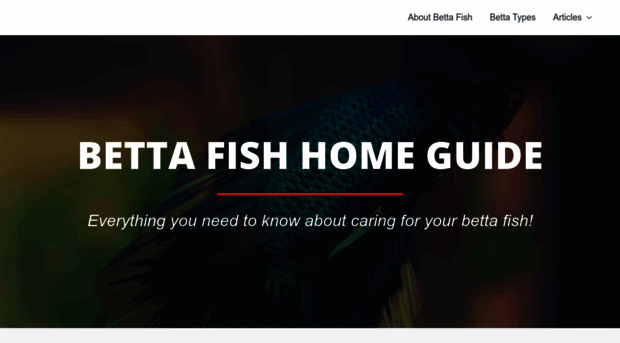 bettafishhomeguide.com