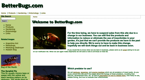 betterbugs.com