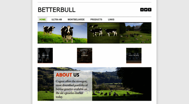 betterbull.com