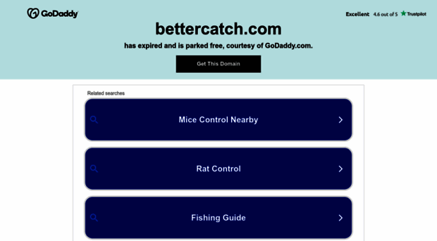 bettercatch.com