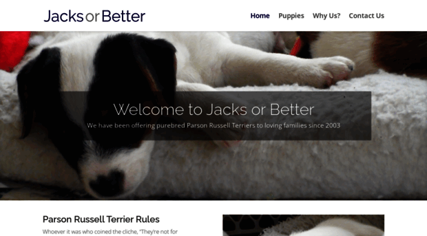 betterjacks.com