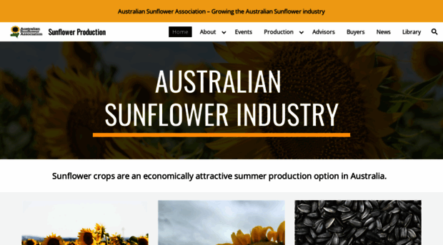 bettersunflowers.com.au