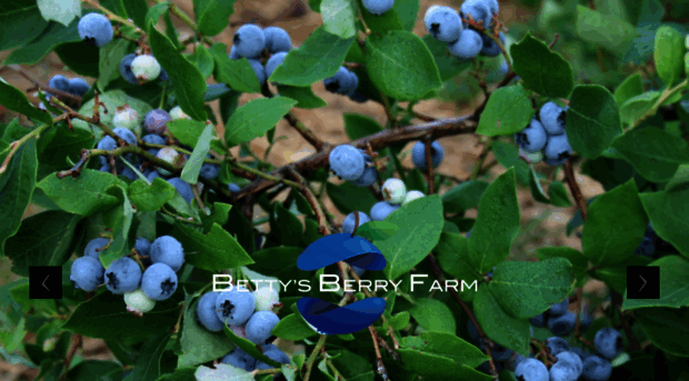 bettysberryfarm.com