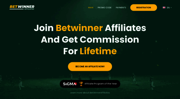 betwinnerpartner.net