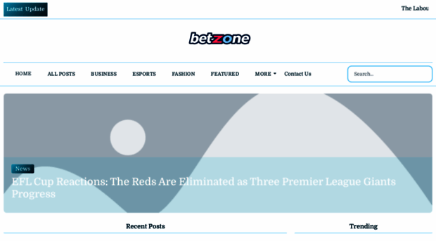 betzoneflow.us