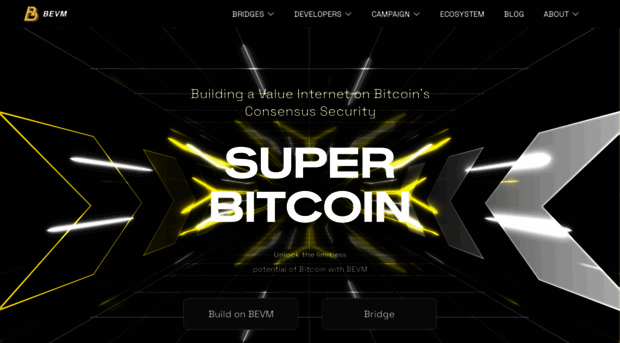 bevm.io