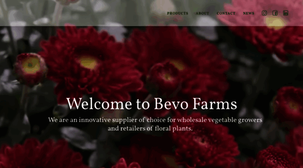 bevofarms.com