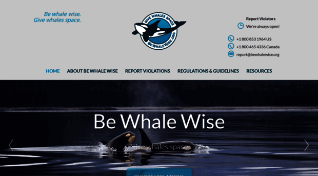 bewhalewise.org