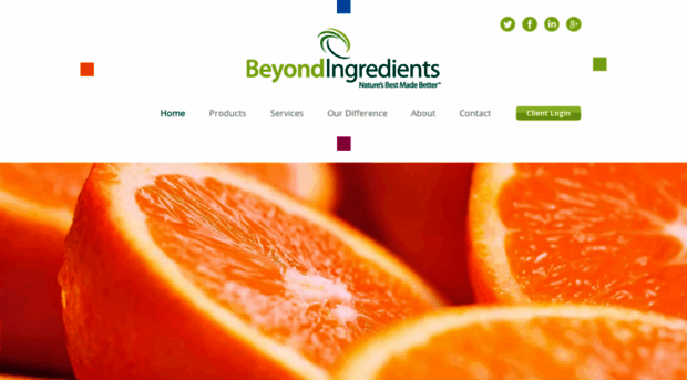 beyond-ingredients.com