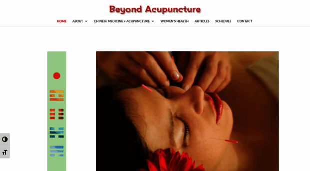 beyondacupuncture.us