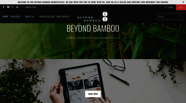 beyondbamboo.online