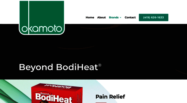 beyondbodiheat.com