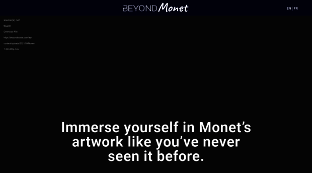 beyondmonet.com