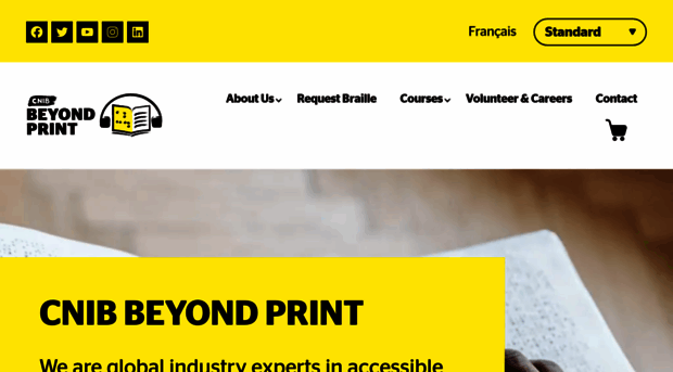 beyondprint-cnib.ca