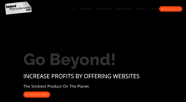 beyondprivatelabel.com